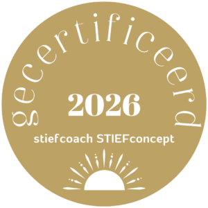 certificaat-stiefconcept-2026-1